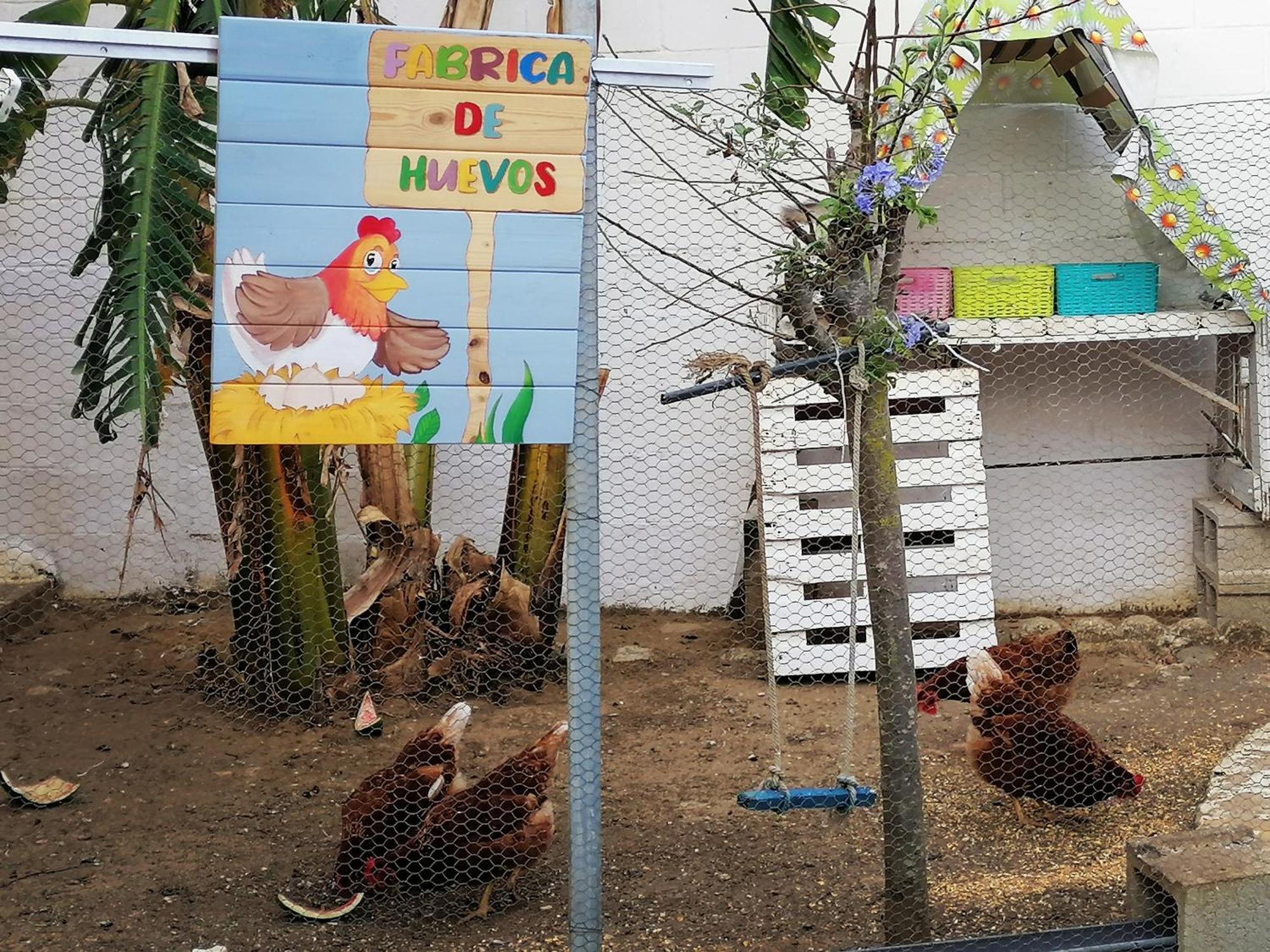 Mis Princesas, con Barbacoa, Piscina, Parking privado y wifi Chiclana de la Frontera Exterior foto
